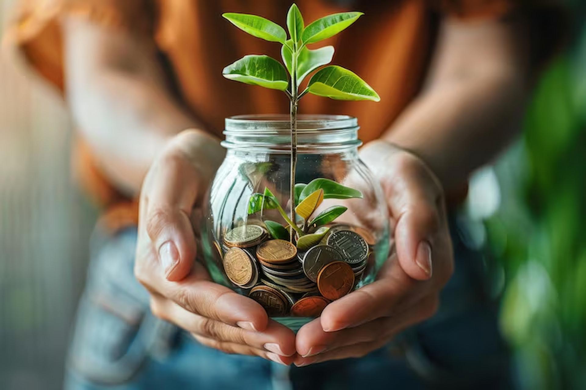 Budget-Friendly Living